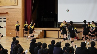 389-3.jpg