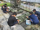 434-3.jpg