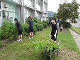 437-3.jpg